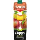 %100 Elma Şeftali Suyu (Cappy)