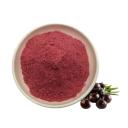 Acai Tozu