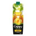 Cappy Kayısı Suyu