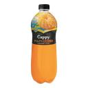 Cappy Pulpy Mandalina