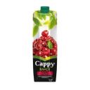 Cappy Vişne Suyu