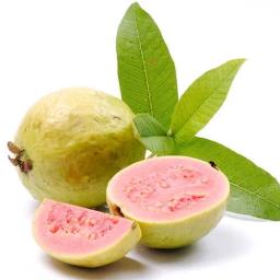 Guava Kaç Kalori?