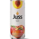Juss Şeftali Nektarı