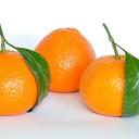Mandalina