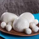 Mozzarella Peynir