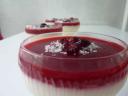 Vişneli Puding