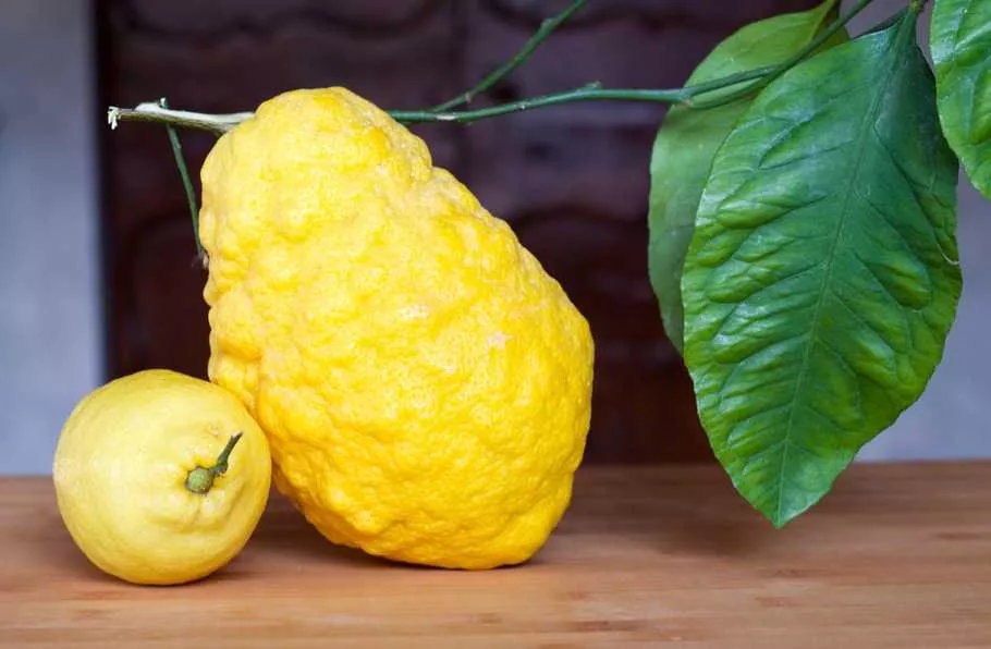 Tezgahların Vitamin Deposu: Limon