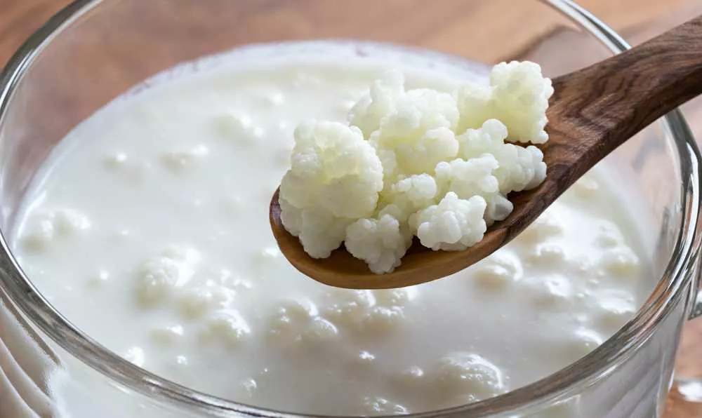 kefir
