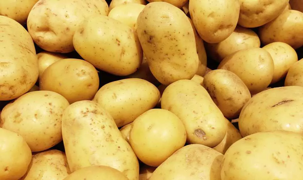 patates