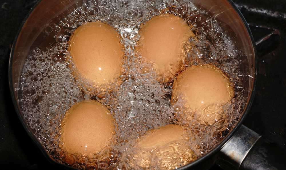 yumurta haslama