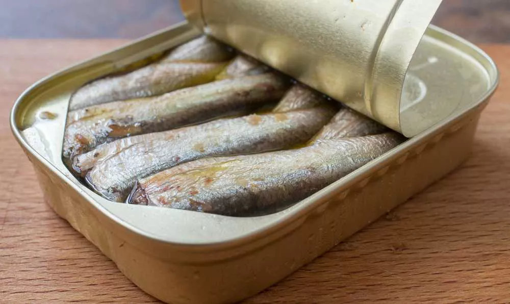 konserve sardalya