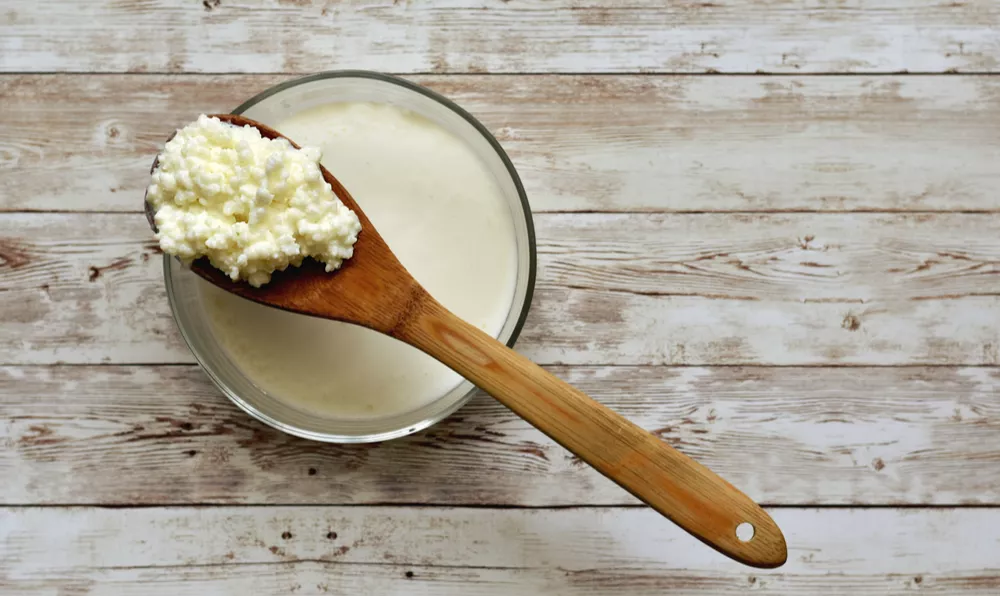 Kefir nedir? Bağırsak problemlerinizin çözümü olabilir mi?