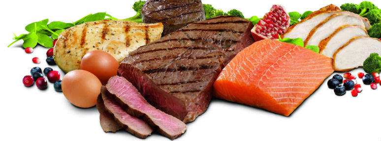 Besin Gruplarını Tanıyalım: Protein Grubu