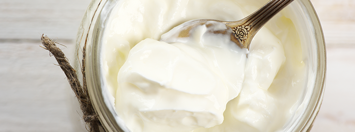 Sütlü Tatlıların Kıymetlisi: Yoğurtlu Dondurma