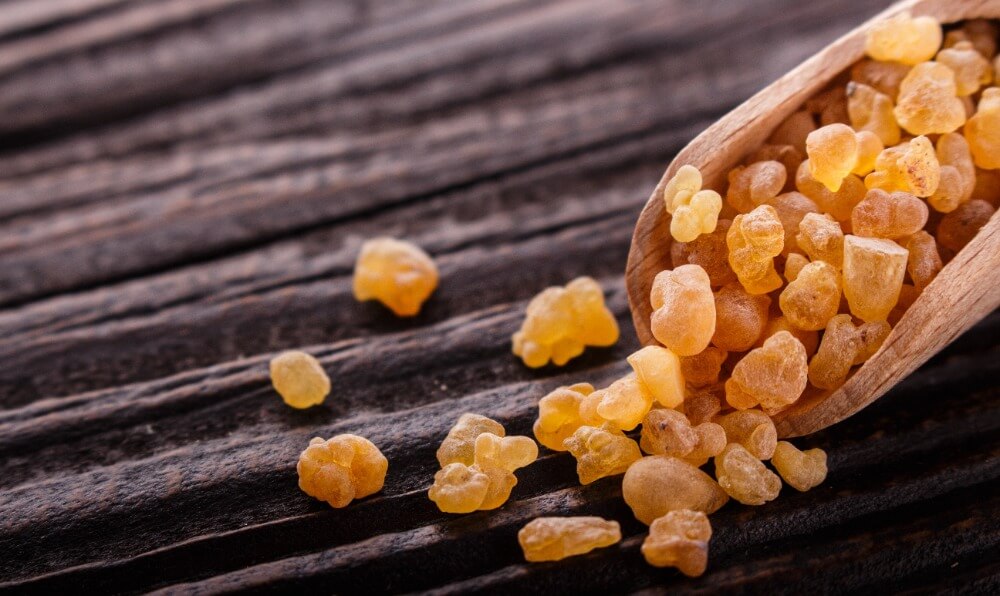 Akgünlük (Boswellia) nedir?