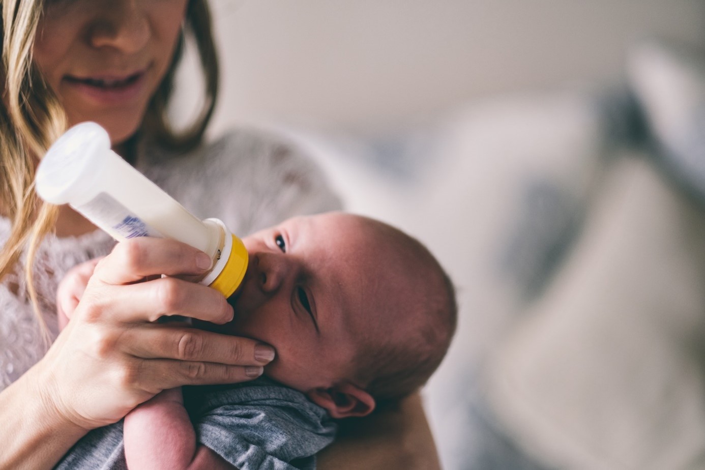 Bebekler İçin Anne Sütünün Önemi ve Bazı Hayvansal Kaynaklı Sütler Arasındaki Farkları