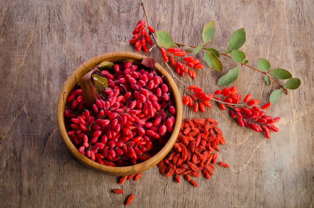 Goji berry nedir?