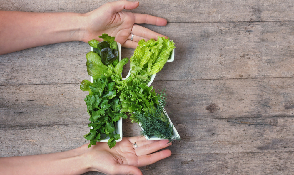 K Vitamini Nedir?