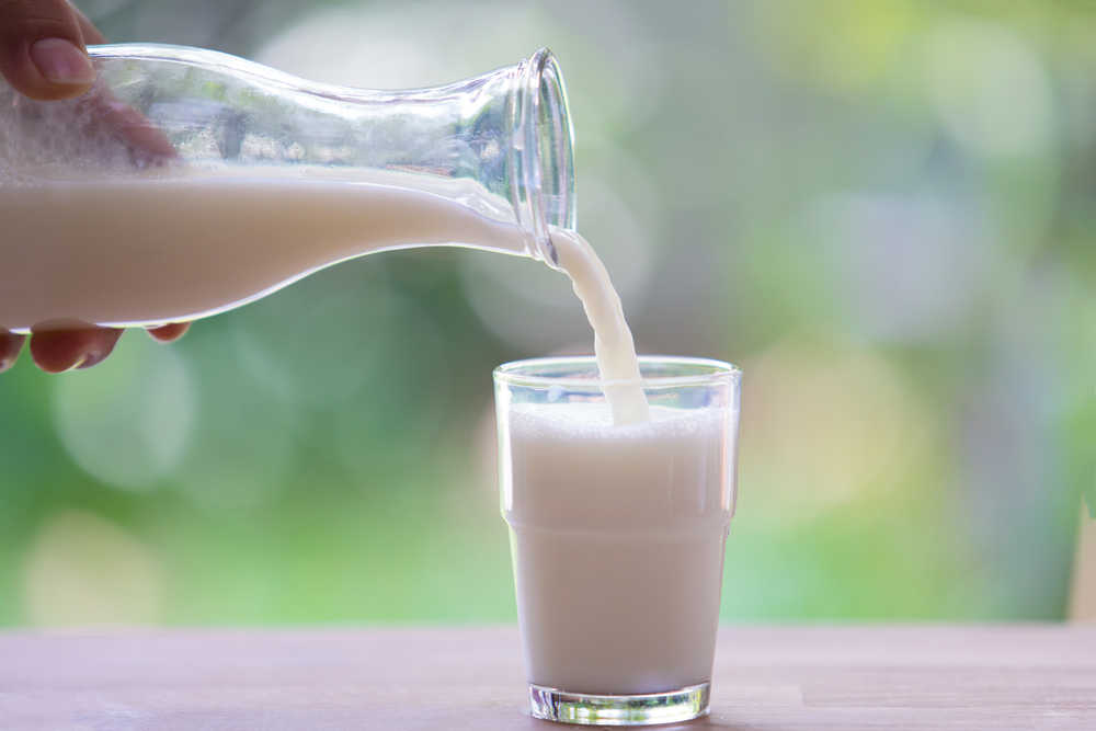 Kemik erimesine çare süt mü? Kalsiyum ve osteoporoz ilişkisini inceledik