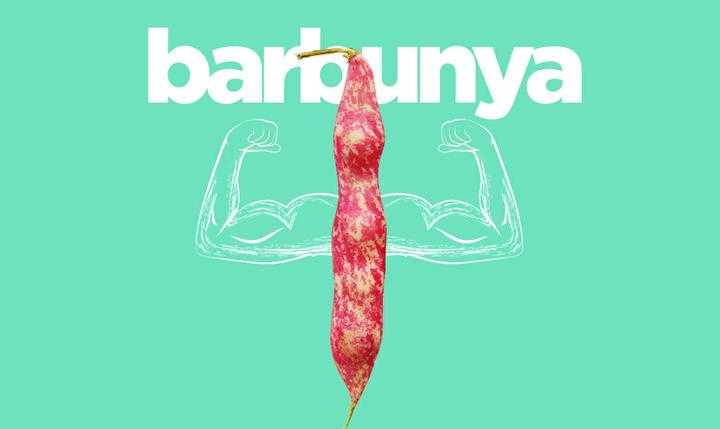 Barbunya