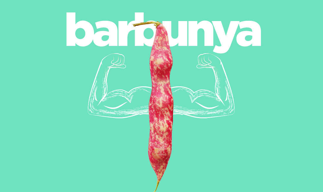 Barbunya