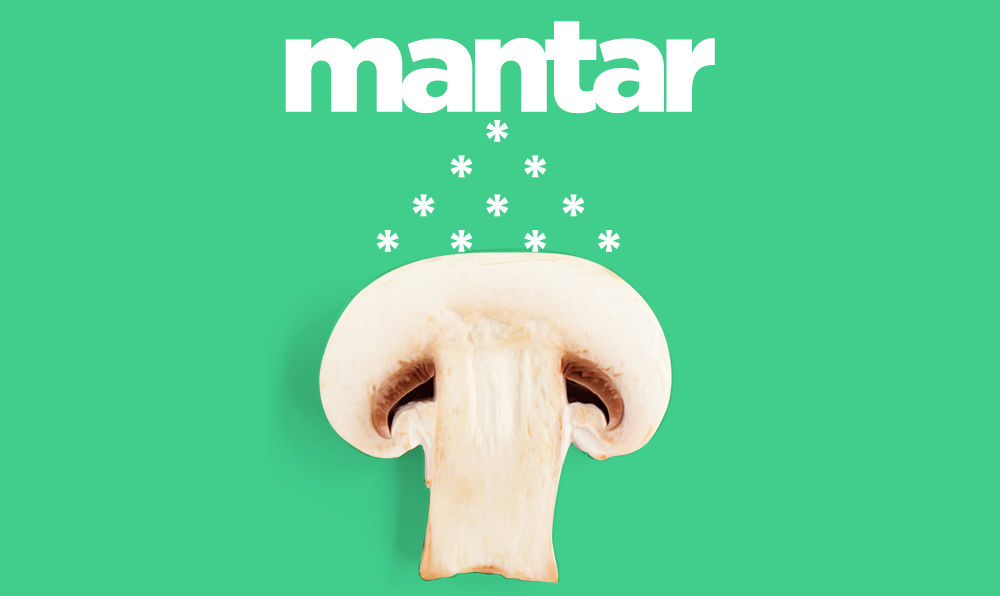 Mantar!