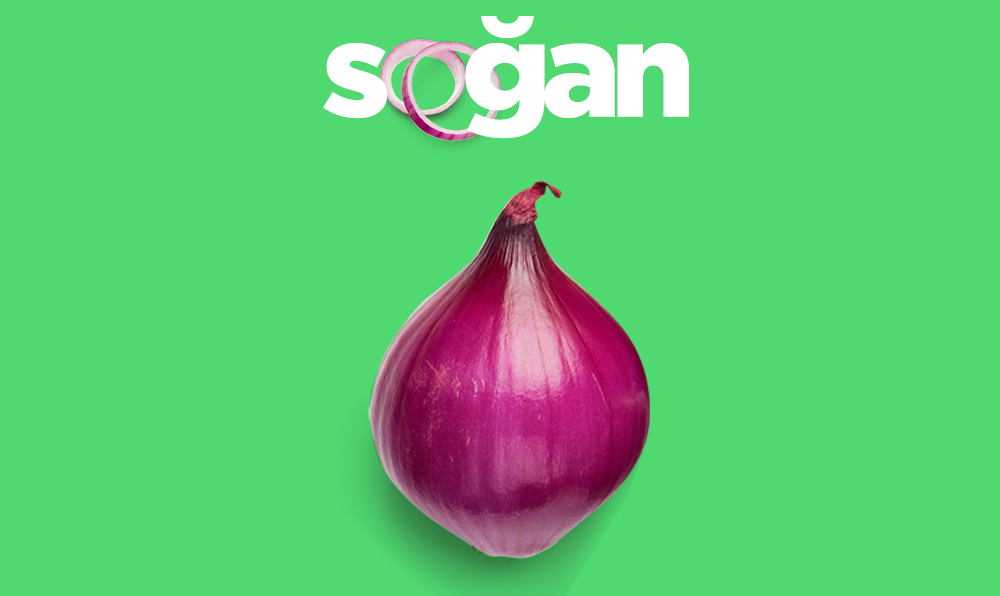 Soğan