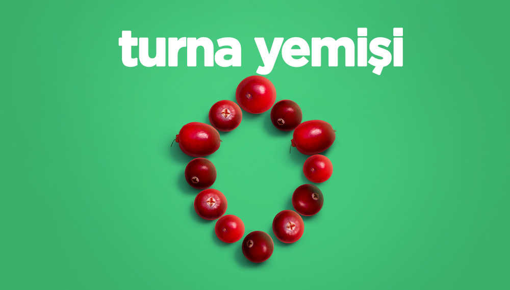 Mercek Altında: Turna Yemişi