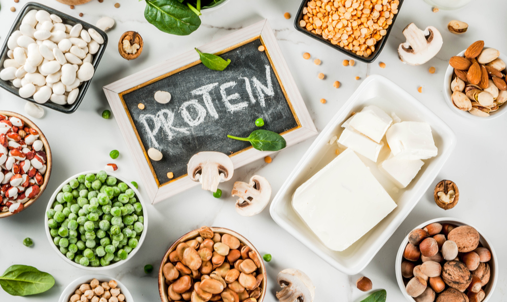 Yüksek protein içeren besinler nelerdir?