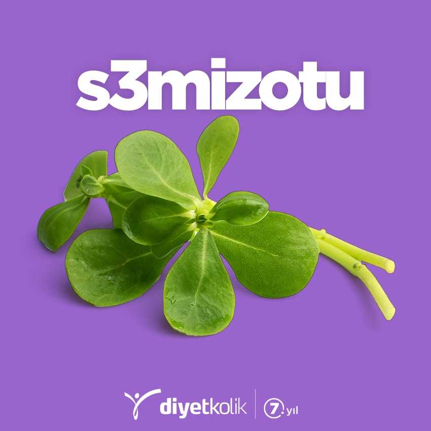 Semizotu