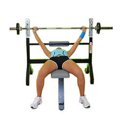 Bench Press With Barbell