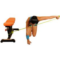 Reverse Flys With Band210x210