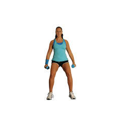 Wall Sit Lateral Dumbbell Raises