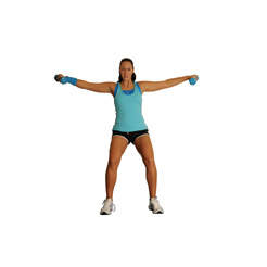 Wall Sit Lateral Dumbbell Raises