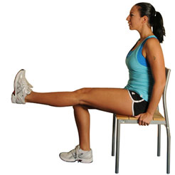 Seated Leg Extensions