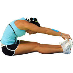 Seated Forward Bend