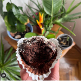 Kakaolu Hurmalı Brownie Tarifi