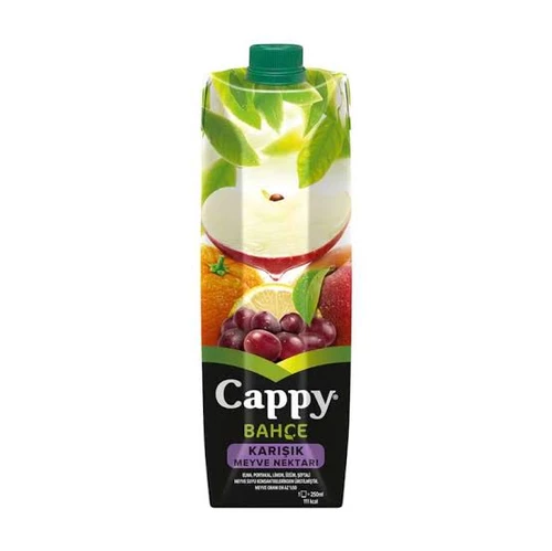 Cappy Bahçe Karışık Meyve Nektarı