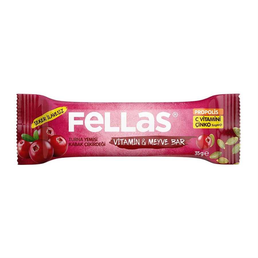 Fellas Vitamin Meyve Bar-Turna Yemişi&Kabak Çekirdeği