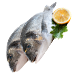 Palamut balığı konservesi